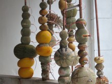 Jeehee Park: Fruit Battery (2014). Installed at Hanmi Gallery. 24 July 2014