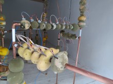 Jeehee Park: Fruit Battery (2014). Installed at Hanmi Gallery. 24 July 2014