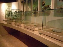 At the Mun Ik-jeom cotton museum in Sancheong-gun