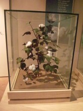 At the Mun Ik-jeom cotton museum in Sancheong-gun