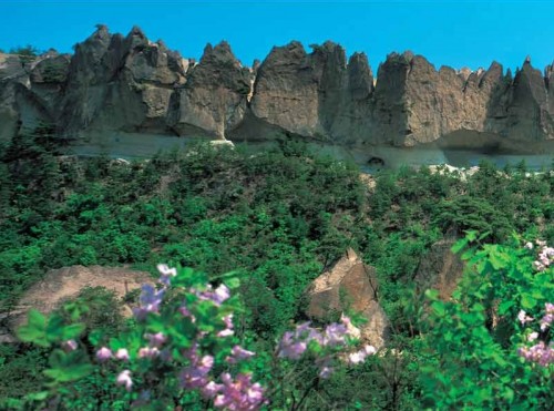 Mt Chilbo biosphere reserve