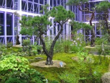 Inside the Medicinal Herb Hall