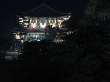 The Gi Experience Village at night