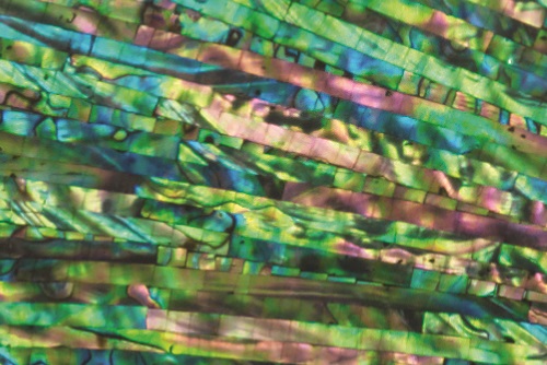 A close-up of the mother-of-pearl strips on one of Hwang Nam-yong's lacquered rocks