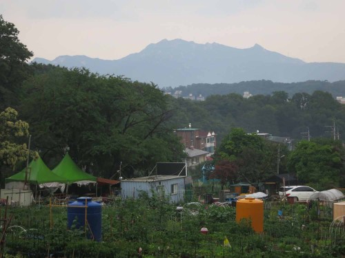 Hiking country in Suyudong