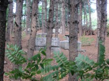The less well-preserved tombs on Choansan are rather melancholy