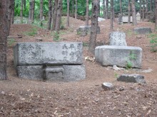 The less well-preserved tombs on Choansan are rather melancholy