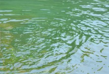 Kong Sunghwan: Water ring (2014)