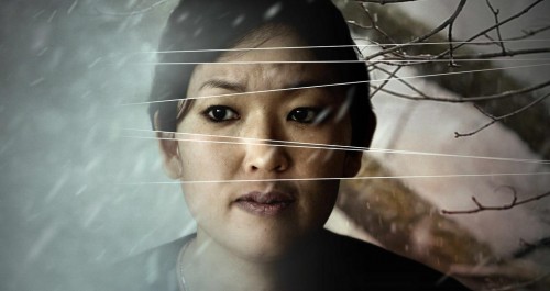 The Defector