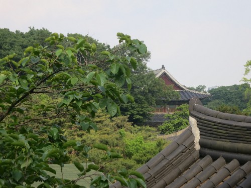 A view towards the Changdeok Palace from the upstairs balcony of the Tea Museum