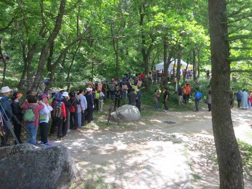 The queue for the makgeolli tent