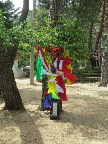 Beomil's tree takes a lunchtime break.