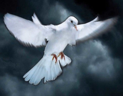 Karl Jenkins Requiem