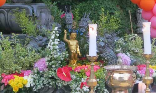 Baby Buddha at Bongwonsa