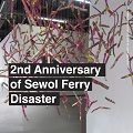 Thumbnail for post: Event news: Sewol families visit UK