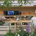 Thumbnail for post: Hay Joung Hwang wins Silver Gilt at Chelsea Flower Show