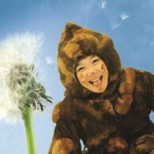 Dandelion's Story