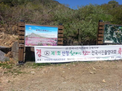 At the entrance to the festival