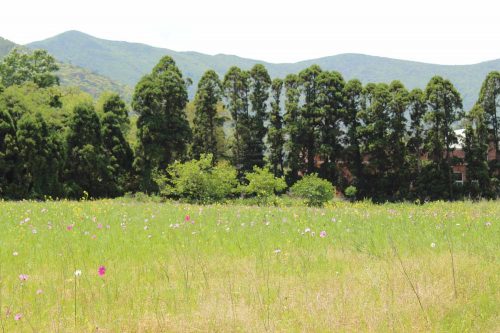 Looking towards Gyeokjabong