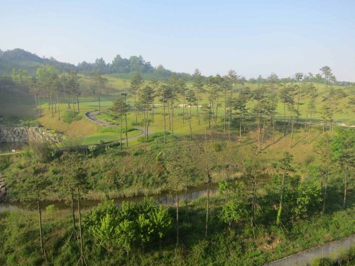 Early morning on Lotte's Baekje golf course