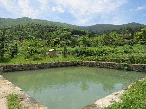 The lotus pond just across the stream from the Goksudang
