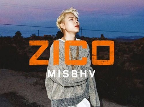 ZICOxMISBHV