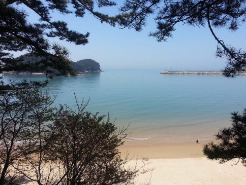 Chollipo beach and its island, viewed from the arboretum