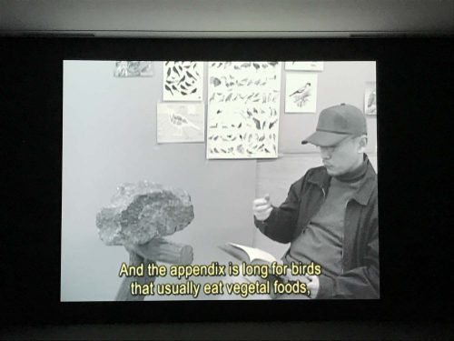 Kim Beom: A Rock That Was Taught It Was a Bird (2010)