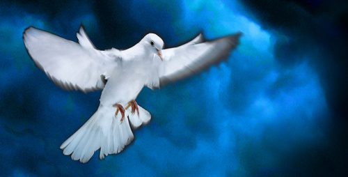 Karl Jenkins The Armed Man