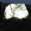 Thumbnail for post: Soyoung Chung in Delfina Foundation residency