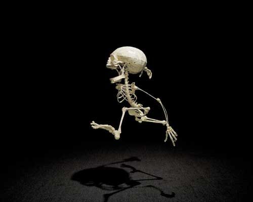 Hyungkoo Lee: Homo Animatus (2004)