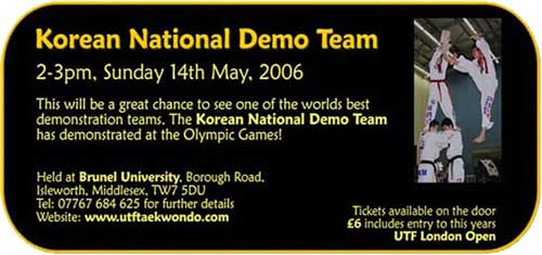 Taekwondo poster