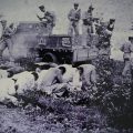 Thumbnail for post: The Longest Tomb: Documentary on the Daejeon Massacre (1950)