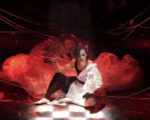 About Lady White Fox