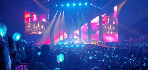 IDOL: the opening stage