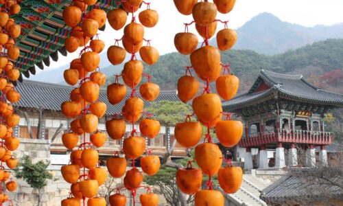 Persimmons drying at Hwaeomsa