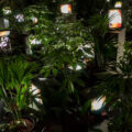 Thumbnail for post: Nam June Paik: The Future is Now, at Tate Modern