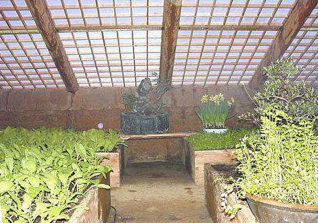 The interior of the Sanga Yorok Greenhouse