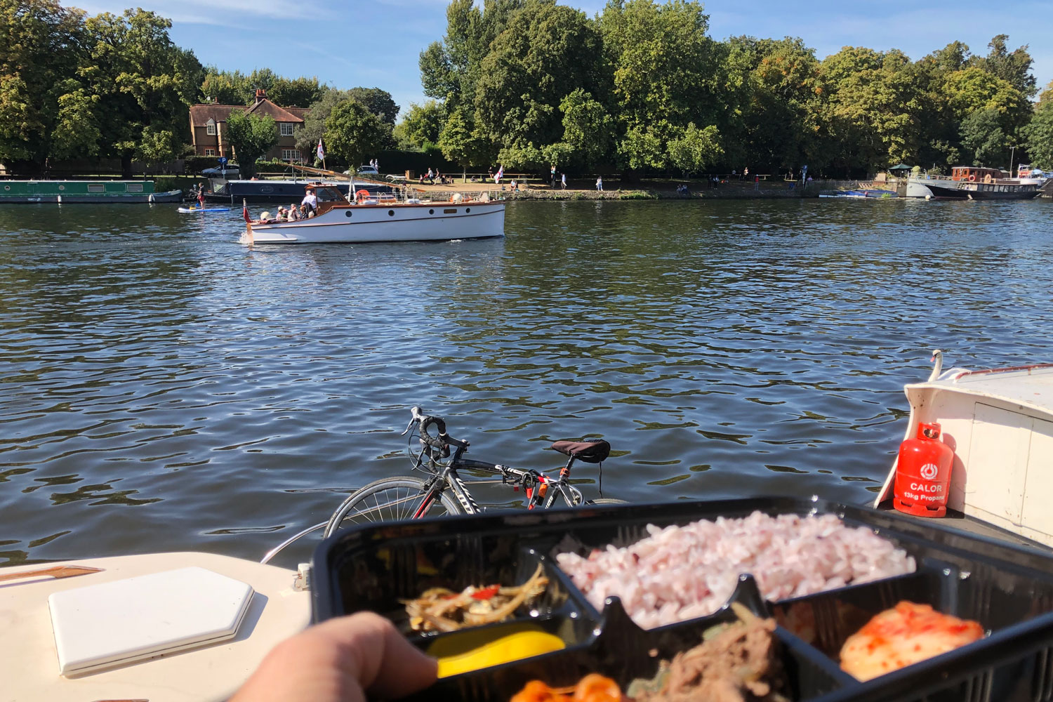 Bento Box by the river
