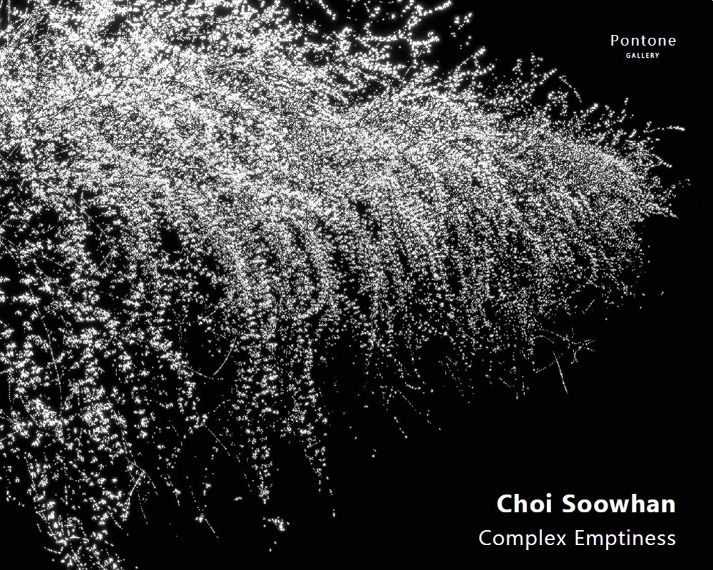 Choi Soowhan: Complex Emptiness