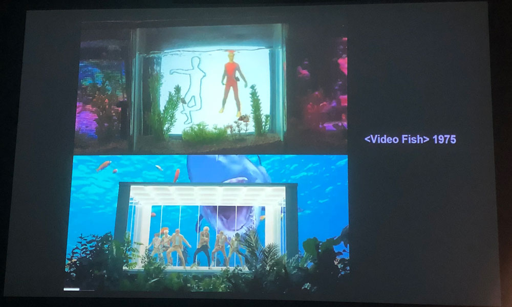Video fish