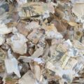 Thumbnail for post: How not to sanitize your cash