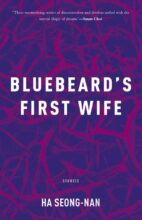 book cover art