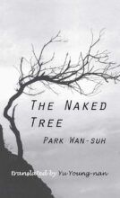 book cover art