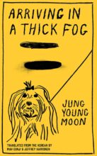 book cover art