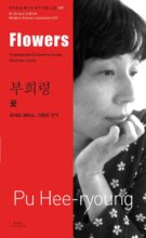 book cover art