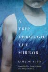 A Trip Through the Mirror