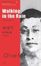 book cover art