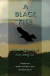 A Black Kite