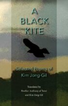 book cover art